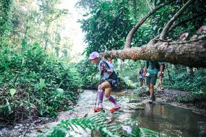 BIB: 
                            <button type="button" onclick="openModal(25442791)" class="btn btn-primary btn-sm float-right btn-popup" data-toggle="modal" data-target=".modal-high-quality">
                        <i class="fas fa-shopping-cart"></i> Add to Cart
                    </button>
                                            <button type="button" onclick="isThisMe(25442791, true)" class="btn btn-success btn-sm float-right btn-popup btn-isme hidden" data-toggle="tooltip" data-placement="bottom" title="นี่คือรูปของคุณใช่ไหม คลิกที่นี่เพื่อเอาเข้าอัลบั้ม">
                        <i class="fas fa-plus"></i> Add to album
                    </button>
                    <button type="button" onclick="isThisMe(25442791, false)" class="btn btn-warning btn-sm float-right btn-popup btn-isnotme hidden">
                        <i class="fas fa-ban"></i> Remove from album
                    </button>